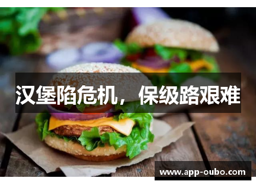 汉堡陷危机，保级路艰难